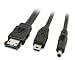Produktbild Lindy eSATAp zu eSATA 0,5 m, USB Mini B & 5 V DC Mini Jack Splitter Kabel