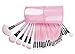 LyDia Professional 32pcs PINK Make Up Cosmetic Makeup Brushes Kit Set with Case