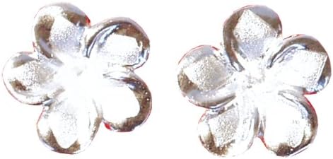 Saraswati Unisex Silver Stud Earrings - AS230
