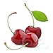 Produktbild Kirsche Cherry 10ml für E-Zigarette/Shisha / 0mg Nikotin …