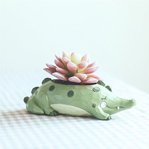 Gift For Her - Indoor Cute Plant Pots Flower Vase for Planters Herb - A Garden Ornaments/Decoration With Small Green Crocodile Animal Shape for Auntie Mom Children Men Women At Office Desk Tables