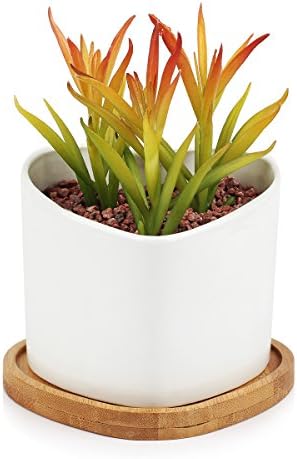 Innoter Small Round Modern White Ceramic Succulent Plant Pot Bamboo Draining Tray