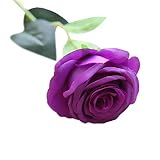 flores artificiales flores artificiales flores artificiales decoración jarrones flores artificiales para manualidades flores artificiales colgantes flores artificiales decoración flores artificiales lavanda flores artificiales girasoles flores artificiales amarillas flores artificiales blancas flores artificiales grandes flores artificiales decoración jarrones flores artificiales decoración jarrones flores artificiales decoración jarrones eucalipto flores artificiales decoración