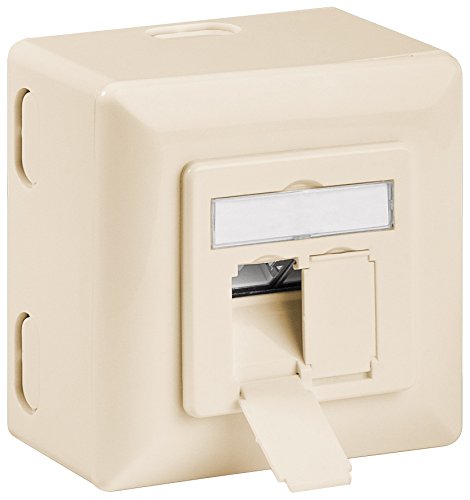 Wentronic 68499 Stecker Steckdose