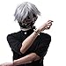 Short Grey Men Boy Stylish Anime Cosplay Wig+Free Wig Cap