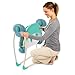 Bright Starts Playful Pals Portable Swing