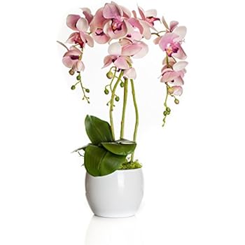 Amazon.de: homeseasons LED-beleuchteten Künstliche Blumen