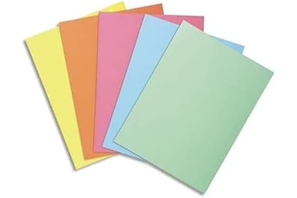 EXACOMPTA Paquet 250 sous-Chemises 22 x 31 cm Super 60 Assorties 5 couleurs