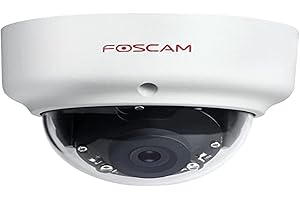 Foscam D2EP Caméra IP POE Extérieure HD 2 MP Infrarouge 20M - détection de Mouvement Intelligente - Compatible Amazon Alexa