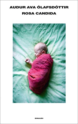 Rosa candida (Supercoralli)