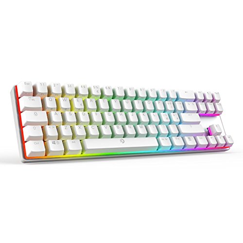 Preisvergleich Produktbild Drevo Calibur 72 Schlüssel RGB Wireless / USB Mechanische Tastatur mit Hintergrundbeleuchtung Bluetooth 4.0 Layout weiß Black Switch