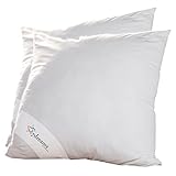 7dreams® Gänse Feder Kopfkissen 80x80cm - Bezug 100% Baumwolle, Füllung 70% Federn 30% Daunen, 900 g Füllgewicht - 2 Stück - Deutsches Qualitätsprodukt - 7dreams® Gänse Feder Kopfkissen 80x80cm - Bezug 100% Baumwolle, Füllung 70% Federn 30% Daunen, 900 g Füllgewicht - 2 Stück - Deutsches Qualitätsprodukt -