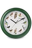 La esfera muestra 12 de los pájaros más populares.