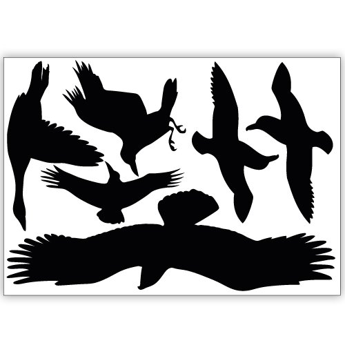 Wandkings Vogelschutz und Fensterschutz, 12 Aufkleber zum Schutz vor Vogelschlag, schwarz - 3