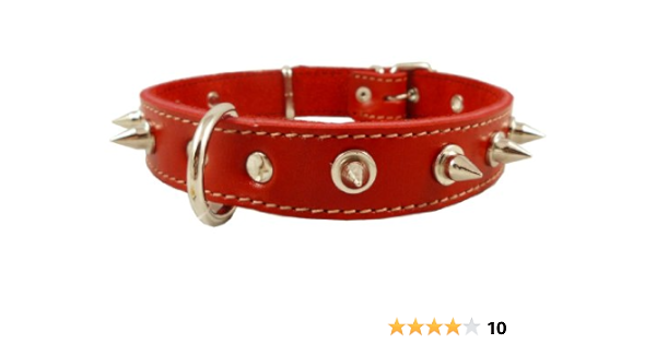 red spiked dog collar