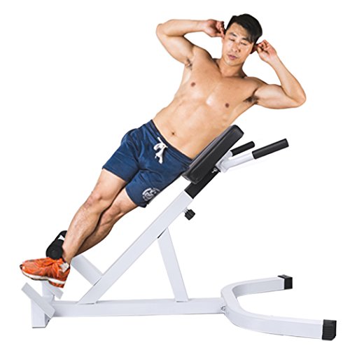 Ancheer Roman Chair Back Extension Bench Adjustable Height