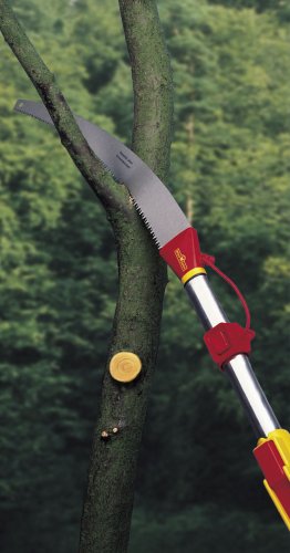 WOLF-Garten multi-star® Astsäge RE-M/ZM 02; 7231003 - 2