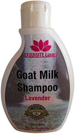 Goat Milk Lavender Shampoo Organic (250ml / 8.8oz) EXQUISITE Luxury