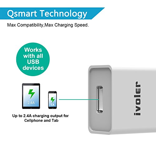 iVoler Super Mini Caricatore da Muro Portatile a 1 Porte (12W/ 2.4A Max) Incluso un Cavo 2 in 1 Type C e Micro USB (1m) per Samsung Galaxy S9 / S9 Plus / S8 / S8+ / S7 / S7 Edge / S6 Edge/S6 Edge+, iPhone, Huawei, ASUS, LG, Microsoft Lumia, Motorola, Ultra Compatto Caricabatterie USB Alimentatore Caricatore da Parete con Tecnologia di Ricarica Rapida Qsmart per iPhone, iPad, Android Smartphone, Tablet, e gli altri dispositivi USB. - Bianco