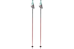 Volkl Phantastick Ski Poles 16 mm – 125