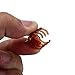 FACILLA® Women Girls Hair Mini Claw Clip Jaw Clamp Hairpin Summer Tiara Brown 24pcs