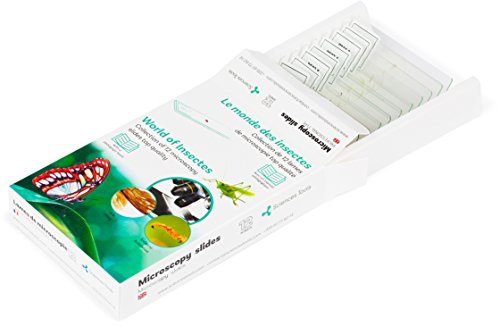 ST Le Monde des Insectes Collection de Lames d'Observation pour Microscope éducatif pour Enfant et Adulte avec Guide Pédagogique - Qualité en Verre - Français / Anglais