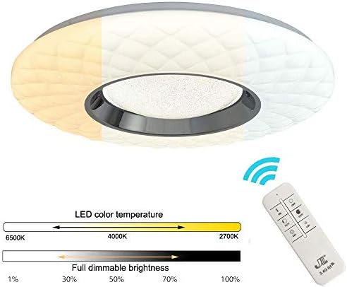 Dimming Remote Control LED Flush Mount Light, Smart Contemporary Minimalist Ceiling Light Fixture Upgraded Dimmable Large Size Ø40cm 1980LM 2700-6500K Lamp for Livingroom,Bedroom, Diningroom
