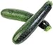 Produktbild Farmerly Squash Seeds, Zucchini, Squash, Black Beauty, Heirloom, Organic, 100 Seeds, Nongmo