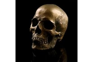 VOANZO Zdejmowana replika ludzkiej czaszki retro żywica anatomiczny model medyczny Lifesize Realistyczny 1:1