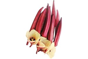 50 Semillas-Abelmoschus esculentus-(Okra rojo) By Samenchilishop