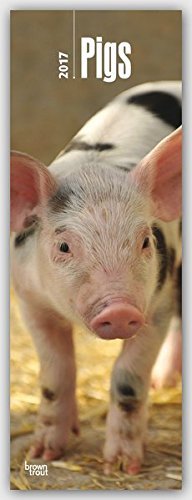 Pigs 2017 Slim Calendar by BrownTrout Publishers (2016-08-15) libro