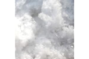 ‎NEUMANN HANDELSVERTRIEB Neumann Handelsvertrieb Silikon Füllwatte Bastelwatte Stopfwatte Watte Teddys (10KG)