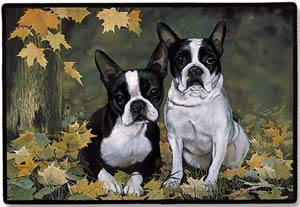 Preisvergleich Produktbild Lindco Sh5 5" Swivel Hook