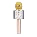 Price comparison product image CITOY Wireless Bluetooth Microphone for Kids, Birthday Gift for Girl Kids Age 5-13 Year Old Girls Boys Karaoke Microphone for iPhone Android Home Birthday Party Gift Toy Age 4-12 Girl Gold Mic
