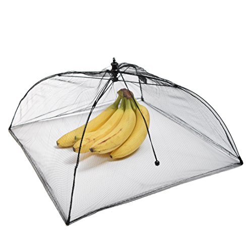 Insektenschutzhaube Lebensmittelschutz Abdeckhaube Fliegenschutz faltbar