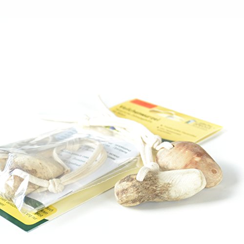 Veilchenwurzel Doppelpack (B-Ware) günstig NEU - 5