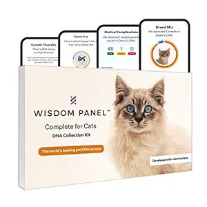 Wisdom Panel, Complete for Cats DNA Test for Comprehensive Health, Traits and Ancestry - 1 Pack