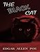 Produktbild The Black Cat