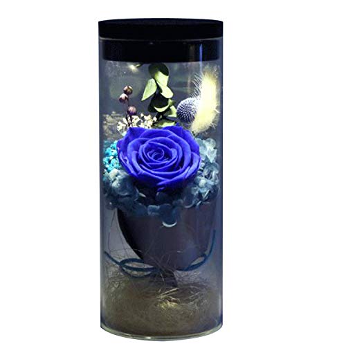 Feisui Flor eterna preservada Fresco Flor de Cristal de la Cubierta Flores Coloridas con la luz Colorida del LED transforma, día de San Valentín, día de la Madre, cumpleaños