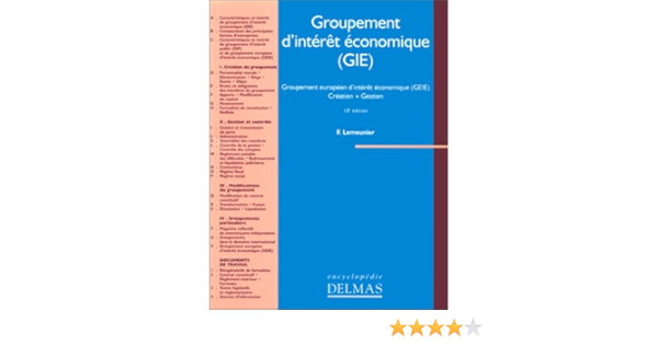 Amazon Fr Groupement D Interet Economique Gie Groupement Europeen D Interet Economique Geie Creation Gestion Lemeunier Francis Livres