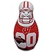 Produktbild Flagpole To Go NCAA Wisconsin Badgers Tackle Buddy