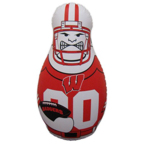 Preisvergleich Produktbild Flagpole To Go NCAA Wisconsin Badgers Tackle Buddy