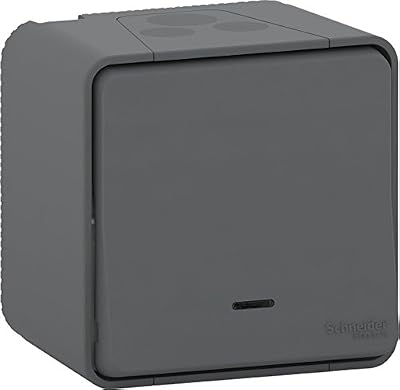 Schneider Electric SC5SHN0212450 Va et Vient mureva lumineux, 250 V, Gris