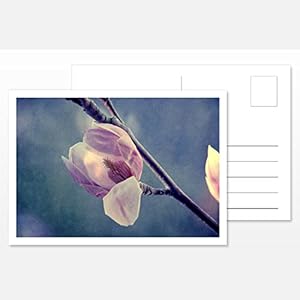 Design Fotokunst Postkarte Silent Moments 2017