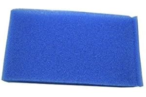 Polti Filtro Esponja Agua Motor Azul Vaporetto Lecoaspira Lecologico AS850 AS805