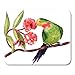 Produktbild Mauspads Wasser Bunte Vogel Aquarell Zeichnung des grünen Papagei auf Niederlassung Rosa Blumen Rote Aquarellfarbe Mauspad 9,5 x 7,9 für Notebooks, Desktop-Computer-Mauspads, Bürobedarf