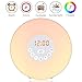 Produktbild VADOO Wake Up Light LED Light Alarm Clock 7 Alarm Tones 6 Natural Tones Alarm Clock with Light, FM Radio