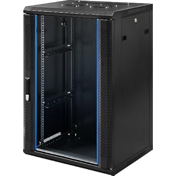 9 HE 19 Zoll - 19" Wandschrank - Serverschrank: Amazon.de: Computer