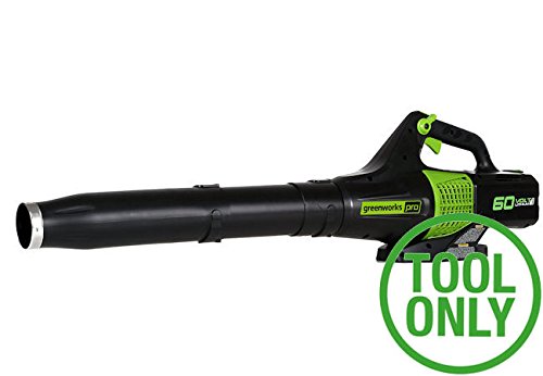 Greenworks GD60ABK2 60v Blower