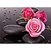 Produktbild ASJFF 3D DIY Diamant Malerei Stickpackungen Platz Drill Diamant-Stickerei-Mosaik-Muster Stone Roses Stillleben Bild Geschenk 50 * 65Cm